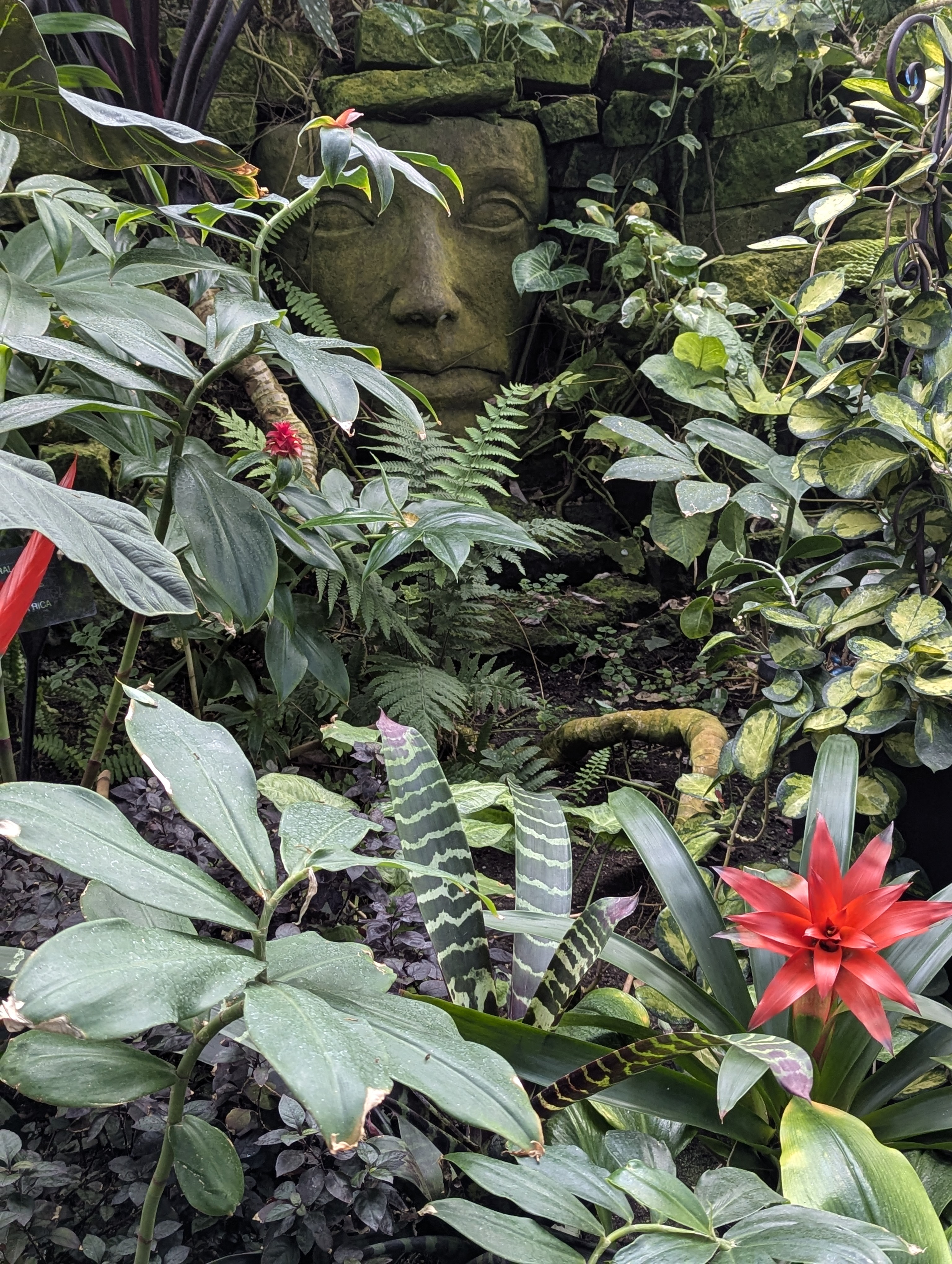 Birthday Trip to Canada, Edmonton, Pyramids, Muttart Observatory